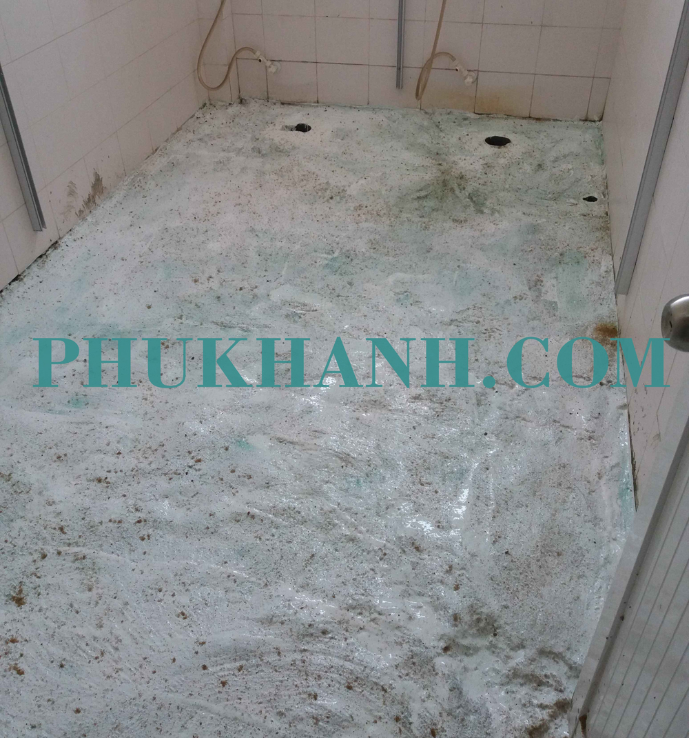 BẢO TRÌ CHỐNG DỘT MÁI TÔN, BONG TRÓC NỀN NHÀ XƯỞNG, NỨT NHÀ XƯỞNG, CHỐNG THẤM ... TẠI NHÀ KHO CÔNG TY MAPLETREE (KCN VSIP2).